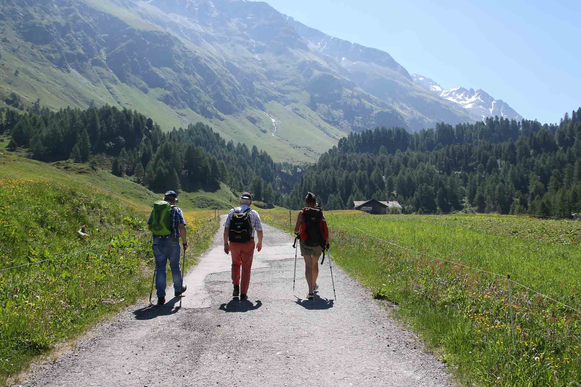 Wandern im Engadin auf Steinsuche drei Wanderer auf Kiesstrasse mit grüner Wiesen und Berg im Hintergrund