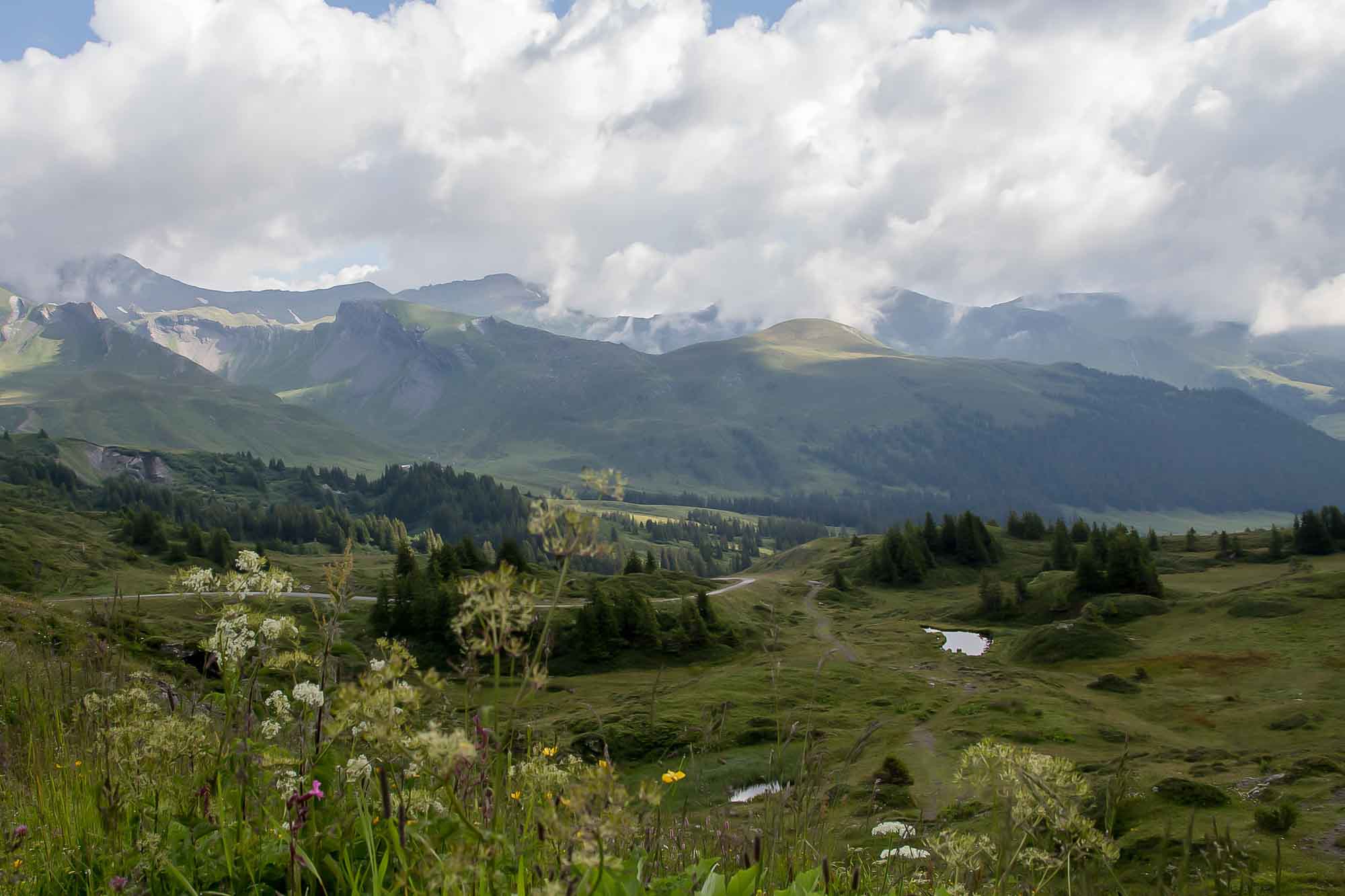 Landschaft mit Bergen aus Grindelwald Wiese mit Blumen Himmel mit Wolken
