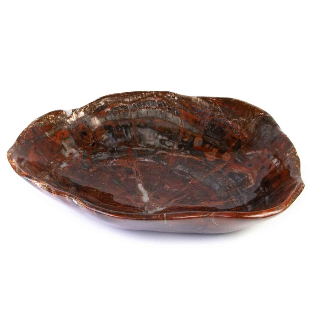 Stein Schale versteinertes Holz