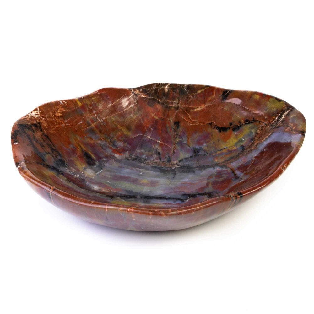 Stein Schale versteinertes Holz