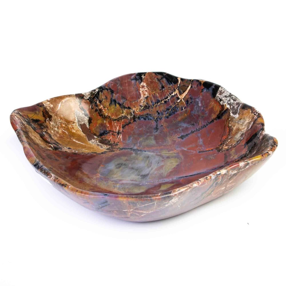Stein Schale versteinertes Holz