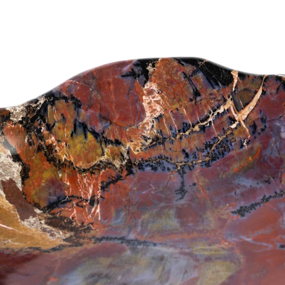 Stein Schale versteinertes Holz – Bild 2